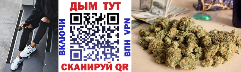 Каннабис ГИДРОПОН Георгиевск